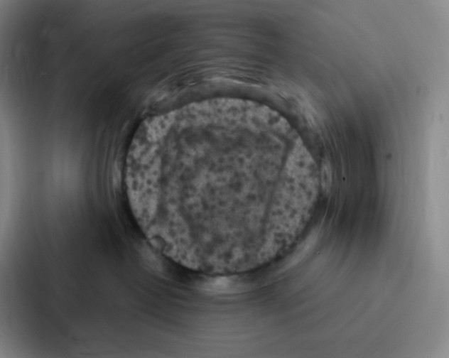 X0000086950382200705141827