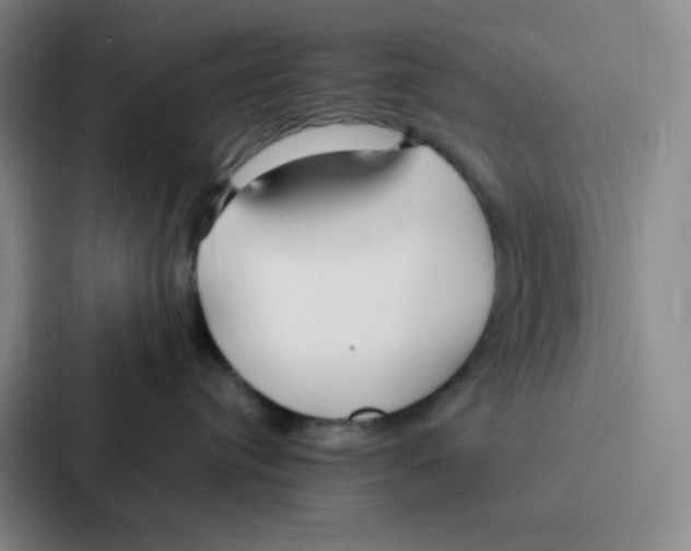 X0000086950384200705141827