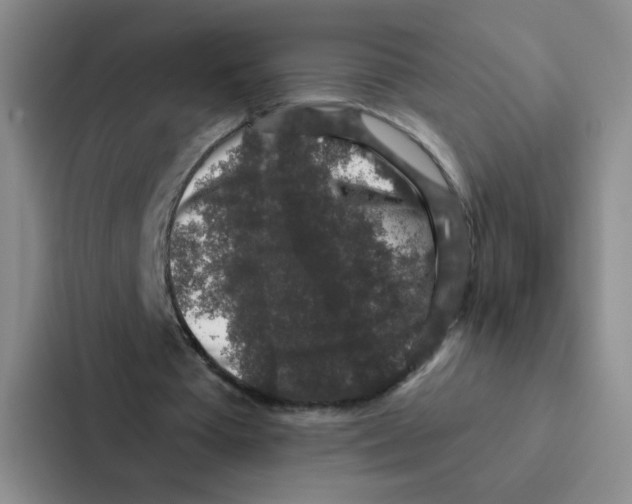 X0000086950385200705141826