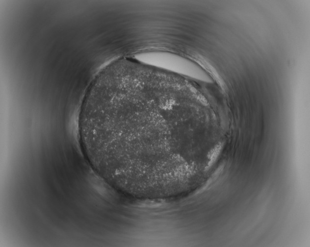 X0000086950386200705141826