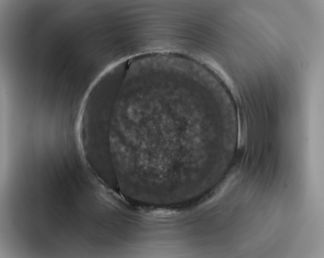 X0000086950387200705141826