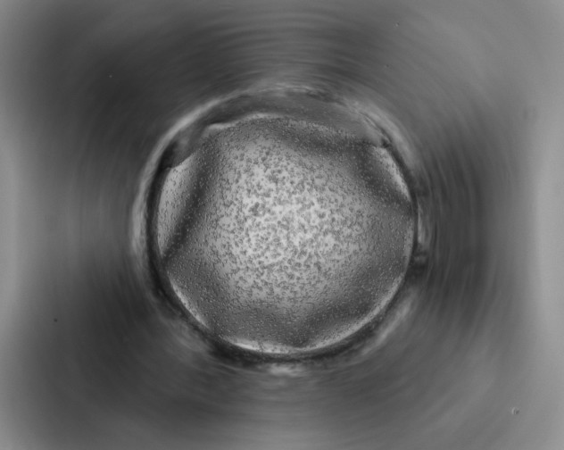 X0000086950388200705141826