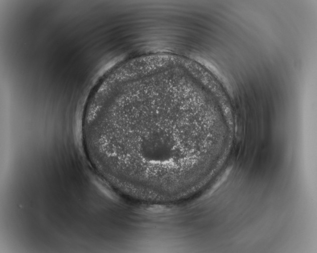 X0000086950390200705141826