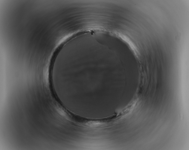 X0000086950391200705141826