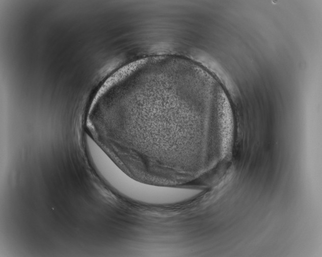 X0000086950393200705141826