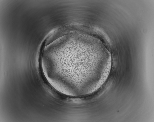 X0000086950395200705141826