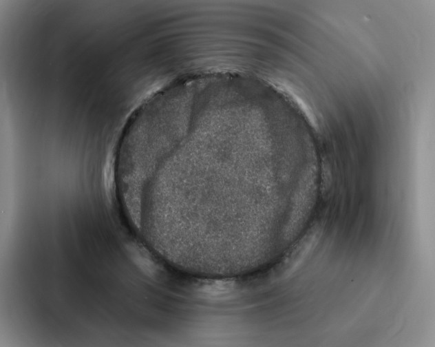 X0000086950398200705141826