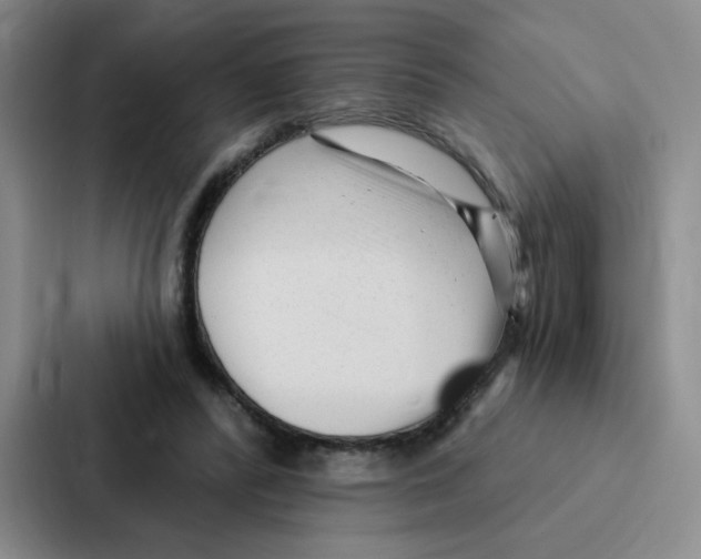 X0000086950400200705141826