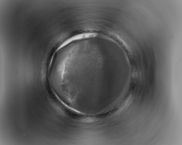 X0000086950402200705141826