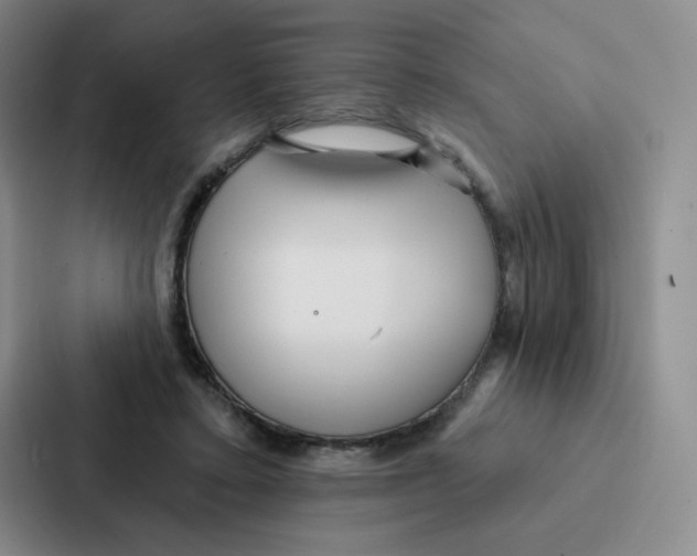 X0000086950403200705141826