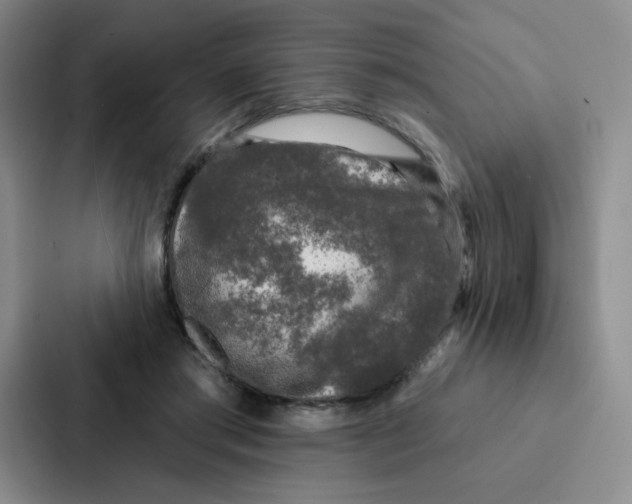 X0000086950405200705141826