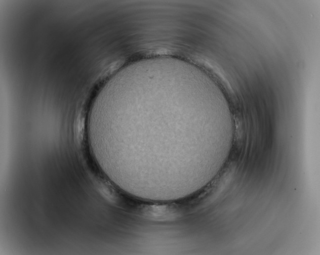 X0000086950406200705141826