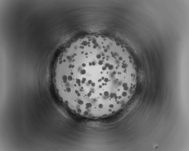 X0000086950408200705141826