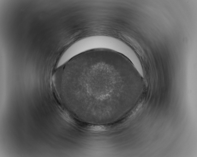 X0000086950409200705141826