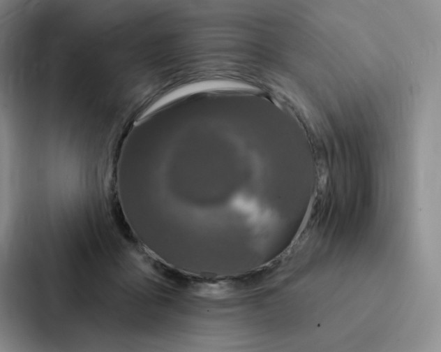 X0000086950411200705141826