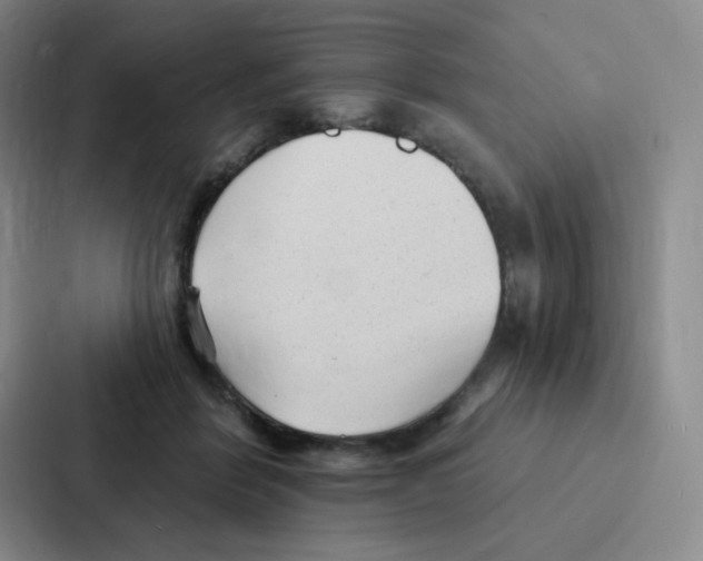 X0000086950412200705141826