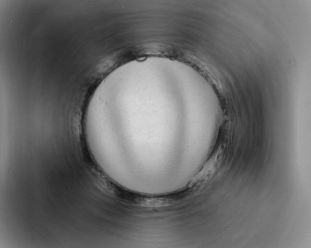 X0000086950413200705141826