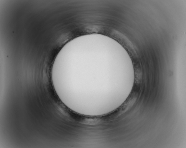 X0000086950414200705141826