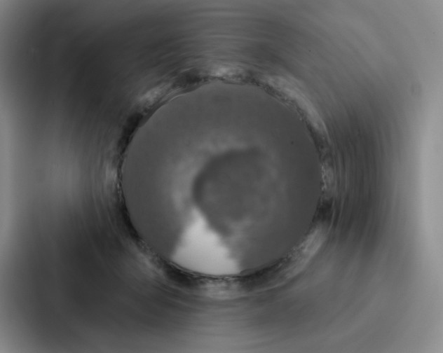 X0000086950415200705141826