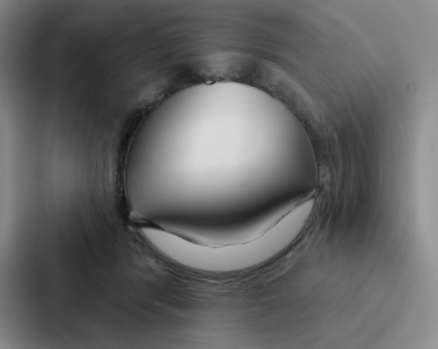 X0000086950416200705141826