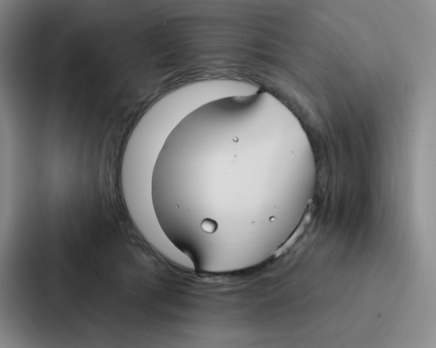 X0000086950417200705141826