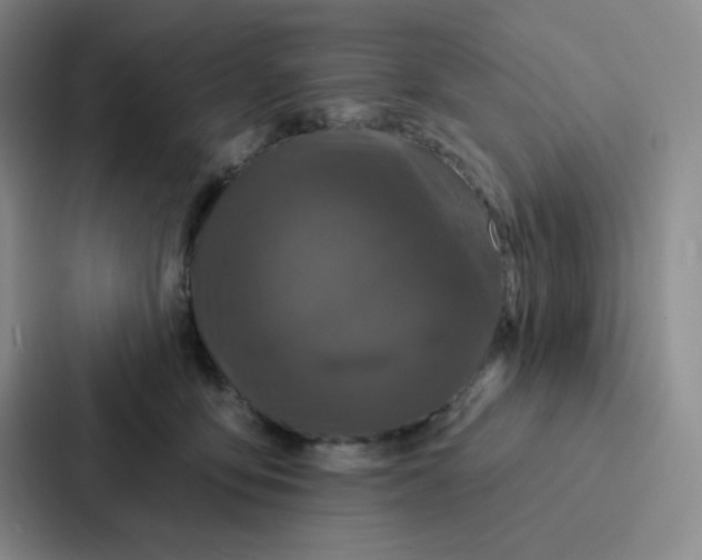 X0000086950419200705141826