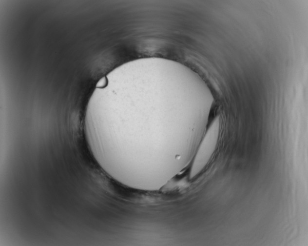 X0000086950420200705141826