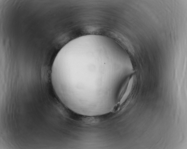 X0000086950421200705141826