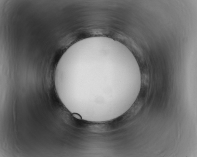 X0000086950422200705141826