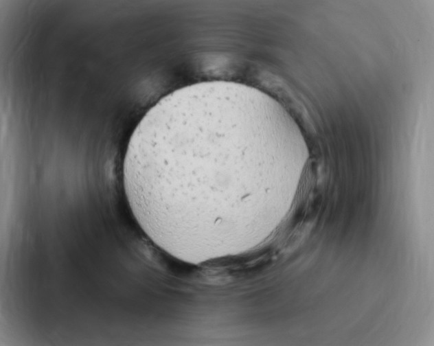 X0000086950424200705141826