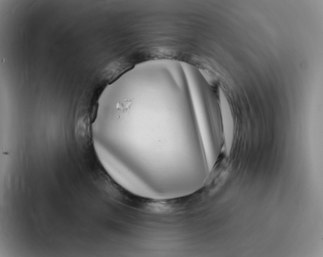 X0000086950425200705141826