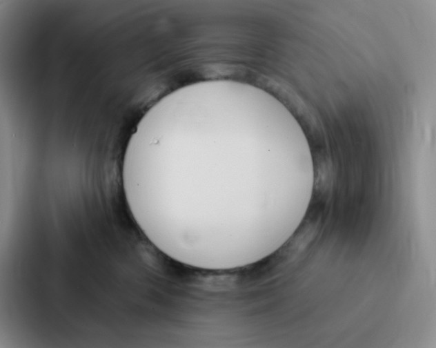 X0000086950426200705141826