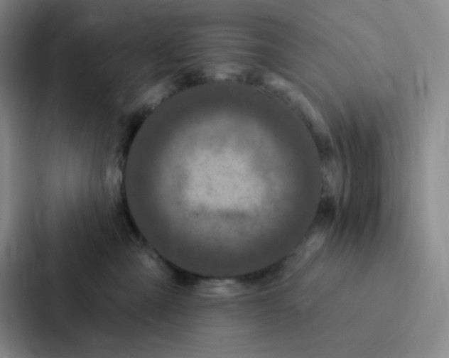 X0000086950427200705141826