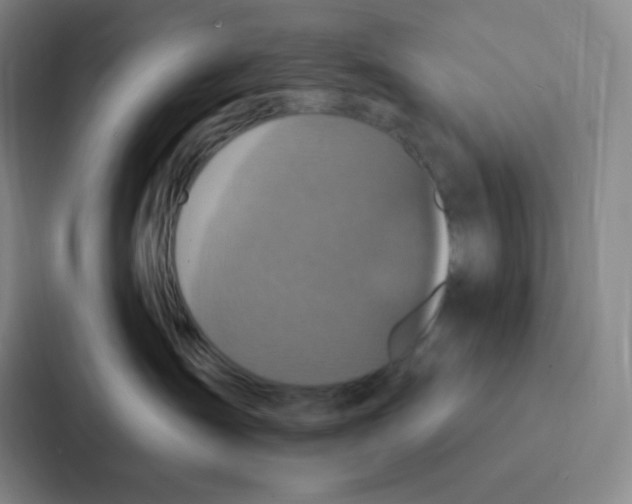 X0000086950431200705141826