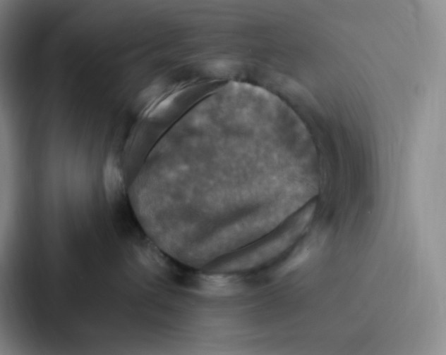 X0000086950432200705141826