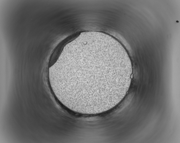 X0000086950433200705141825