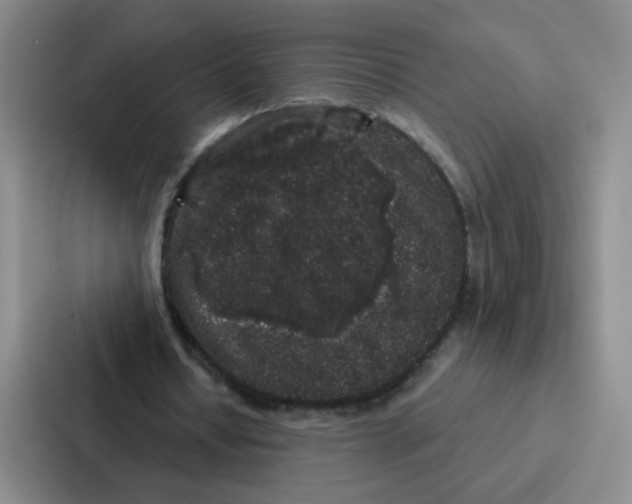 X0000086950434200705141825