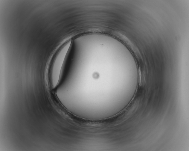 X0000086950435200705141825