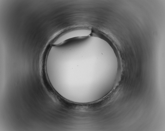 X0000086950440200705141825