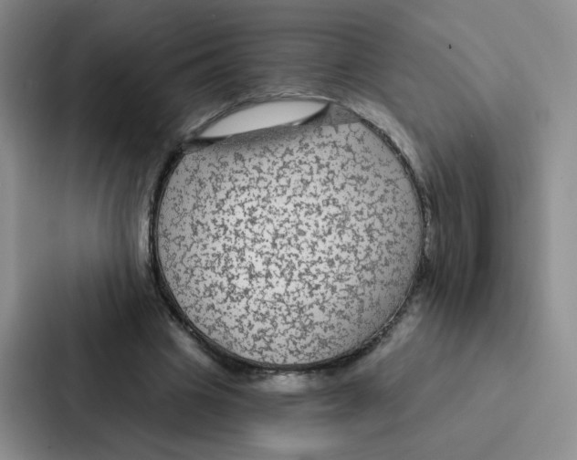 X0000086950441200705141825