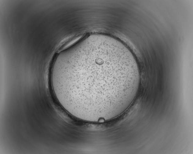 X0000086950442200705141825