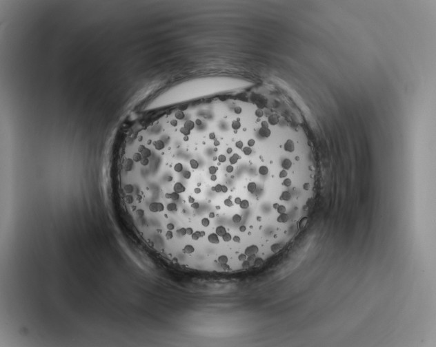 X0000086950443200705141825