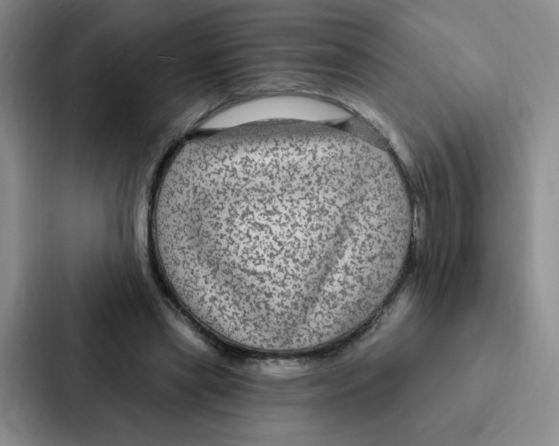 X0000086950445200705141825