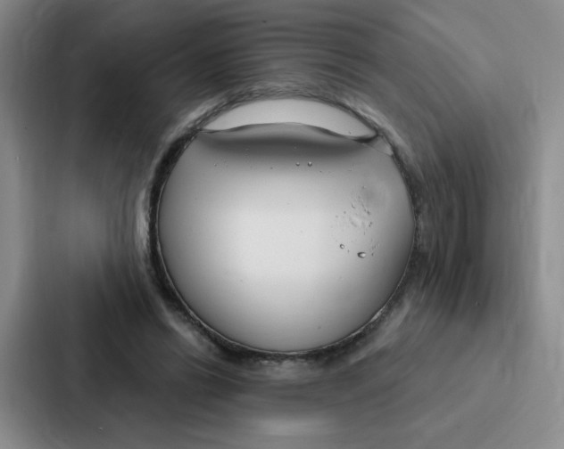 X0000086950446200705141825