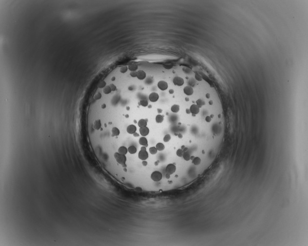 X0000086950447200705141825