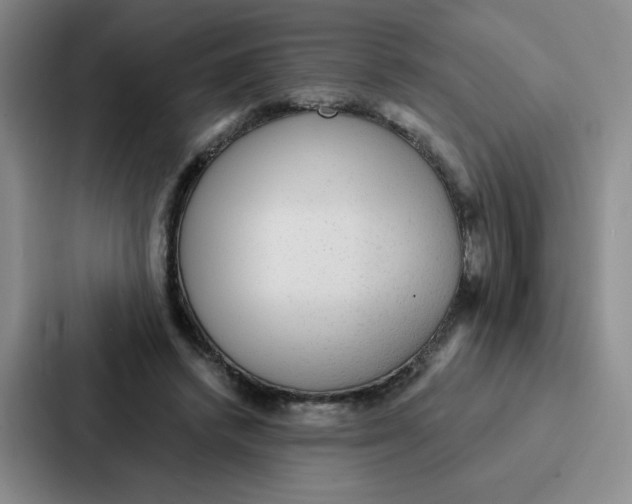 X0000086950448200705141825