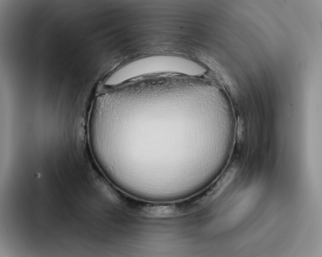 X0000086950449200705141825