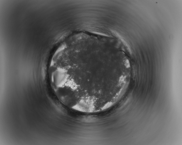 X0000086950451200705141825