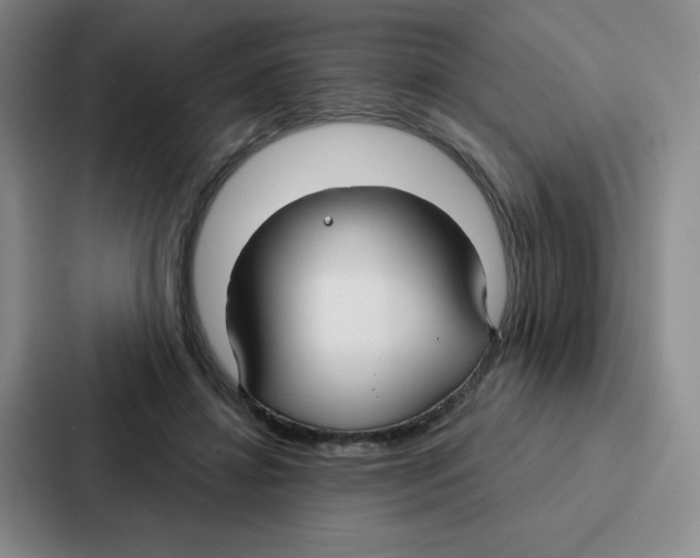 X0000086950452200705141825