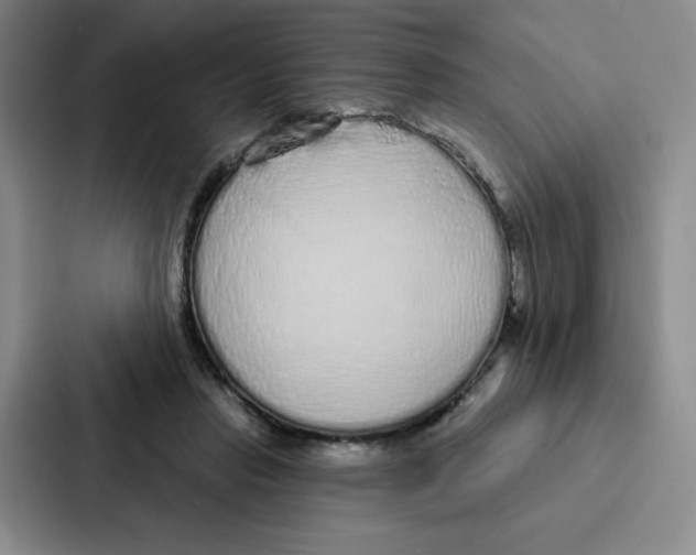 X0000086950453200705141825